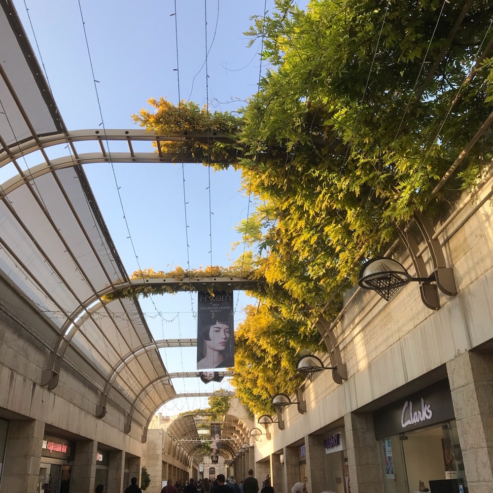 Meet your Posher, Eliana